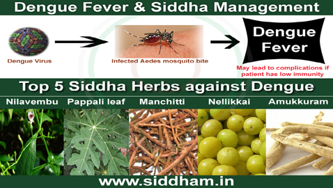 siddha medicine books in english