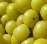 Amla - Health Benefits of Indian Gooseberry