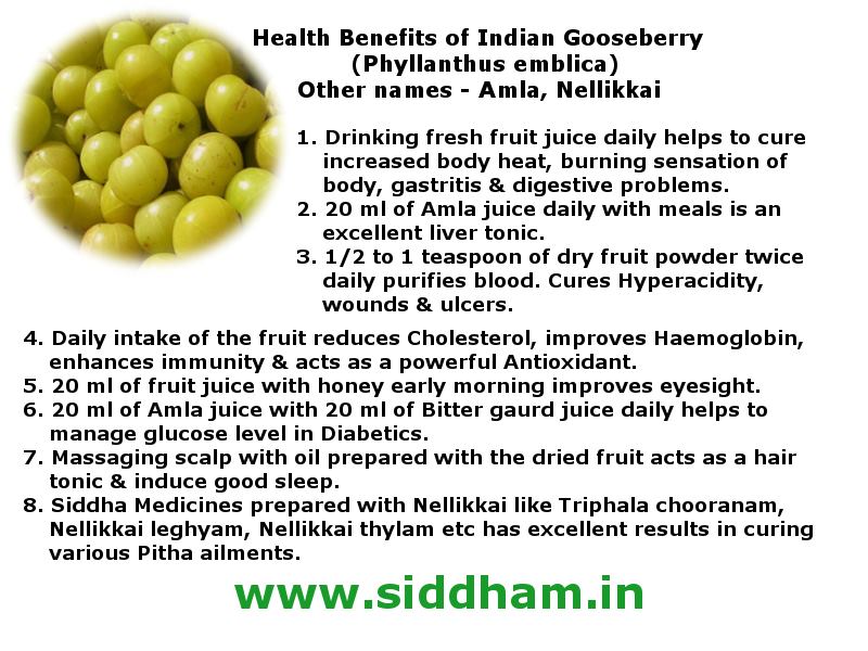 Honey 2025 amla benefits