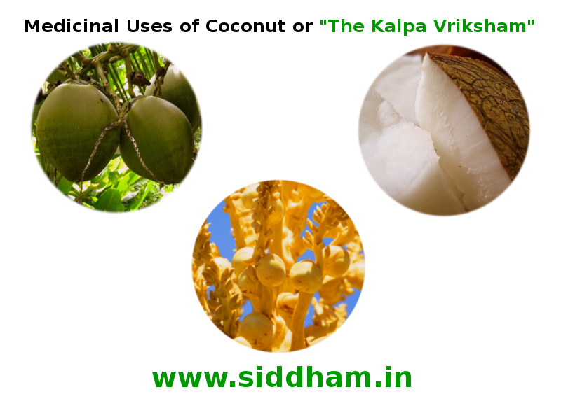 Coconut Milk: Health Benefits and Uses