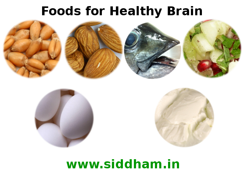 Foods for Healthy Brain