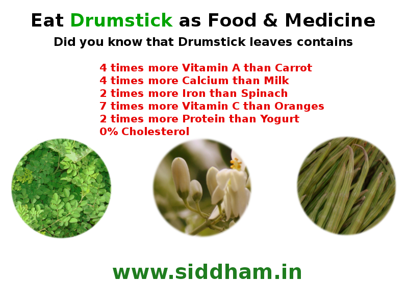 Medicinal Uses or Health Benefits of Moringa Oleifera Drumstick