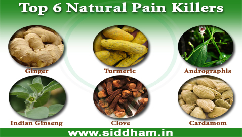 Top Six Natural Pain Killers