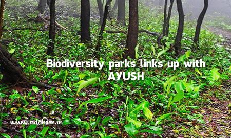 Biodiversity parks links up with AYUSH