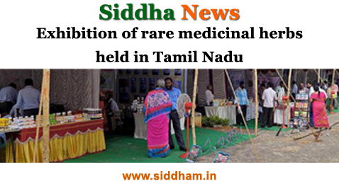 Exhibition of rare medicinal herbs