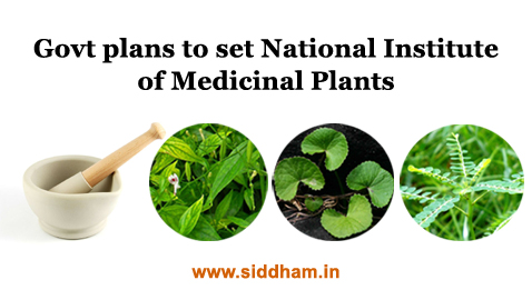 National Institute of Medicinal Plants