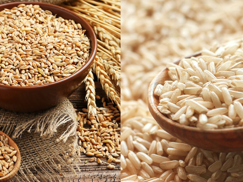 Wheat or Rice : Which is better for your health