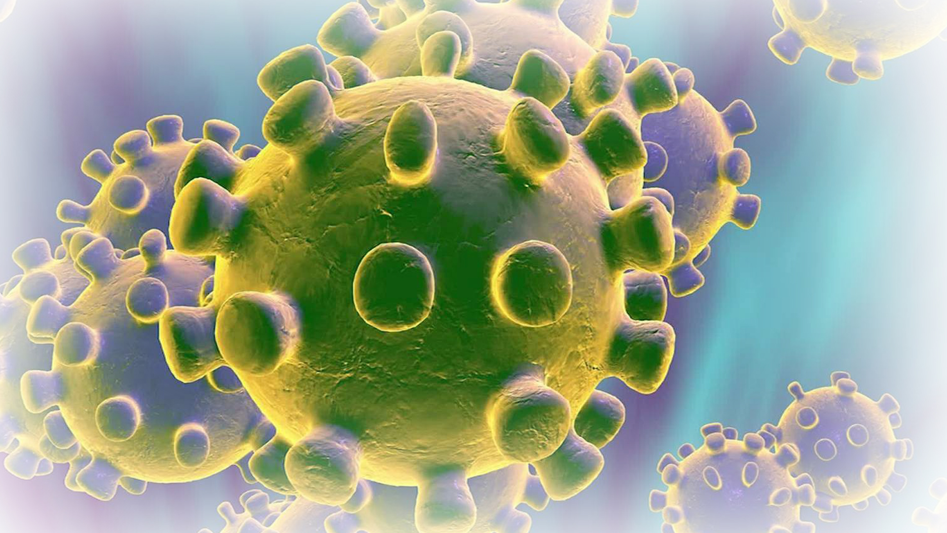 Siddha approach on Novel Corona Virus or Covid 19