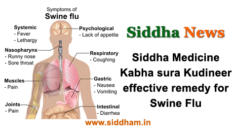 Siddha Medicine for Swine Flu